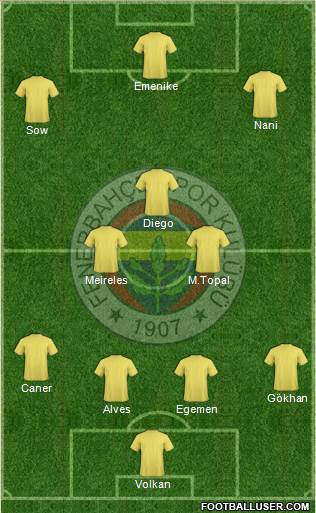 Fenerbahçe SK Formation 2014