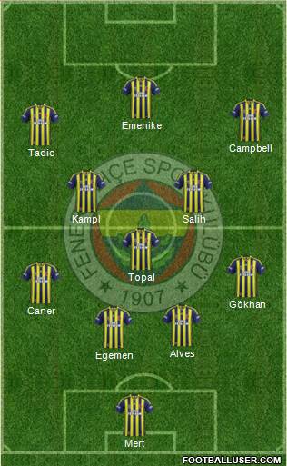 Fenerbahçe SK Formation 2014
