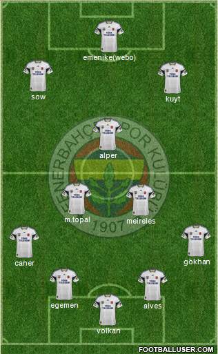 Fenerbahçe SK Formation 2014