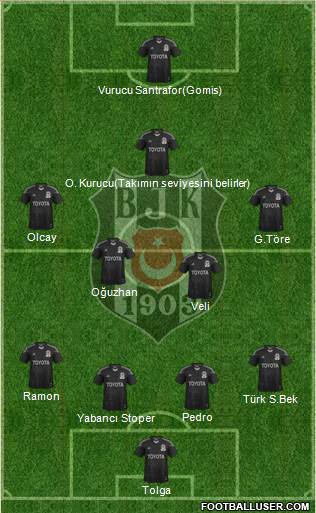 Besiktas JK Formation 2014
