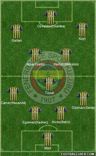 Fenerbahçe SK Formation 2014
