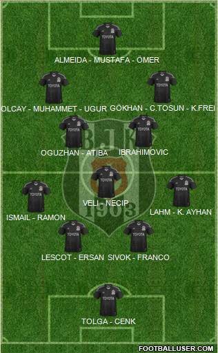 Besiktas JK Formation 2014