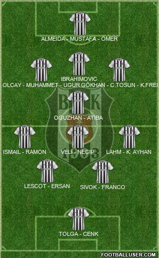 Besiktas JK Formation 2014