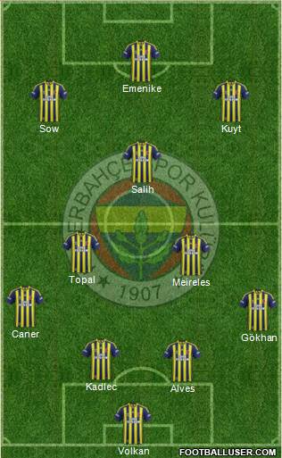Fenerbahçe SK Formation 2014
