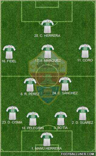 Elche C.F., S.A.D. Formation 2014