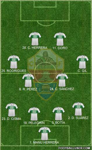 Elche C.F., S.A.D. Formation 2014