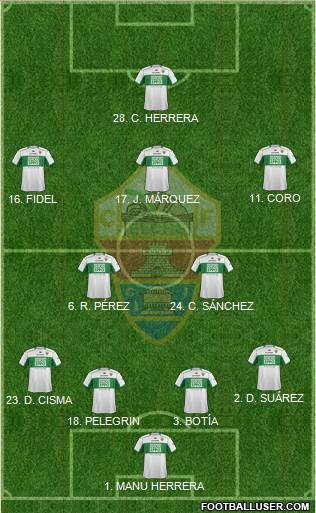 Elche C.F., S.A.D. Formation 2014
