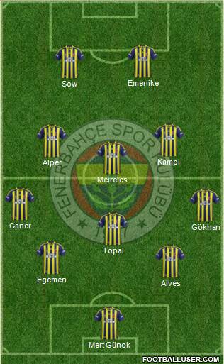 Fenerbahçe SK Formation 2014