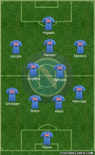Napoli Formation 2014