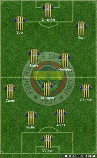 Fenerbahçe SK Formation 2014