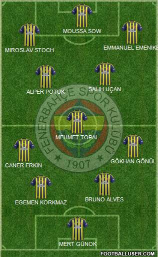 Fenerbahçe SK Formation 2014