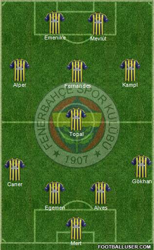 Fenerbahçe SK Formation 2014