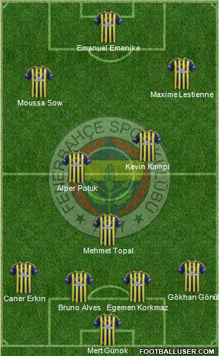 Fenerbahçe SK Formation 2014