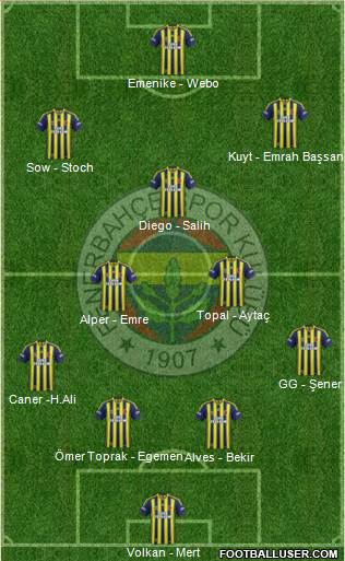 Fenerbahçe SK Formation 2014