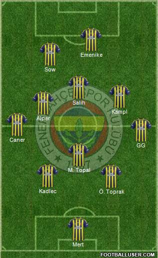 Fenerbahçe SK Formation 2014