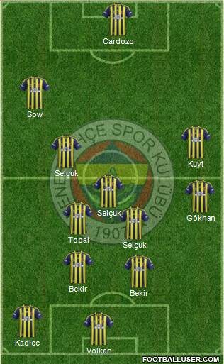 Fenerbahçe SK Formation 2014