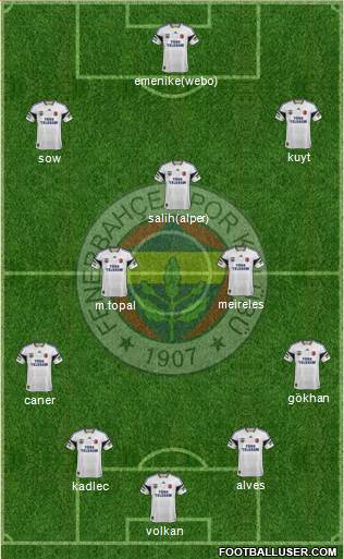 Fenerbahçe SK Formation 2014