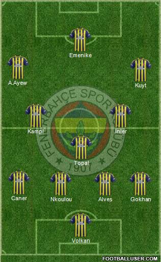 Fenerbahçe SK Formation 2014