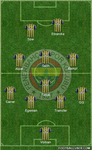 Fenerbahçe SK Formation 2014