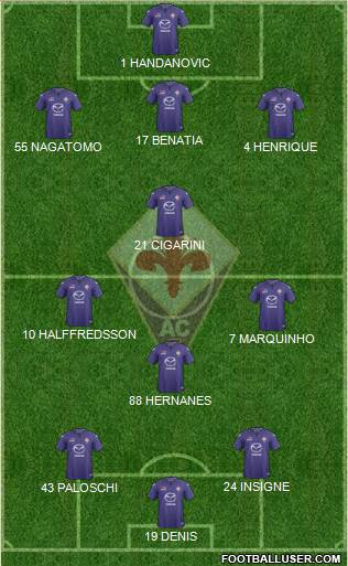 Fiorentina Formation 2014