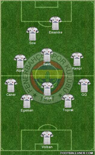 Fenerbahçe SK Formation 2014