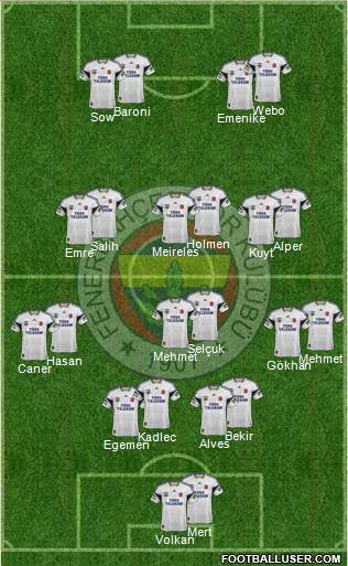 Fenerbahçe SK Formation 2014