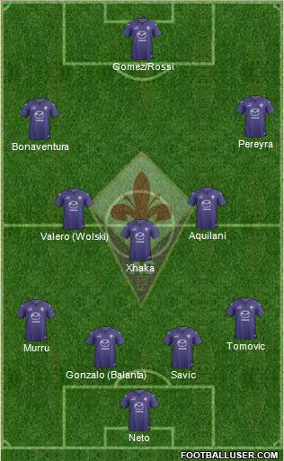 Fiorentina Formation 2014