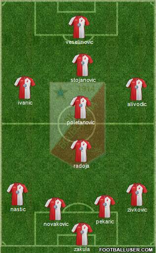 FK Vojvodina Novi Sad Formation 2014