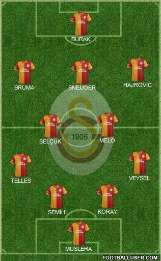 Galatasaray SK Formation 2014