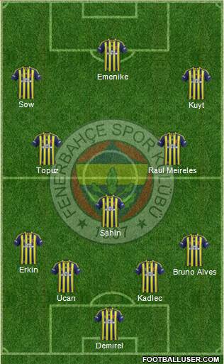 Fenerbahçe SK Formation 2014