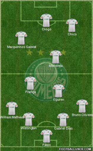 SE Palmeiras Formation 2014