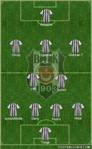 Besiktas JK Formation 2014