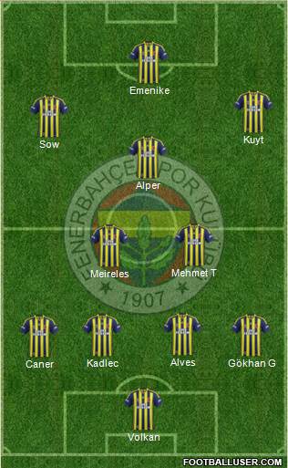 Fenerbahçe SK Formation 2014