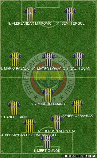 Fenerbahçe SK Formation 2014