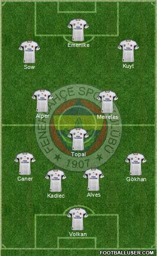 Fenerbahçe SK Formation 2014