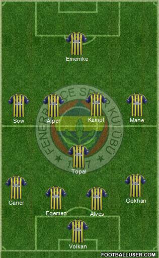 Fenerbahçe SK Formation 2014