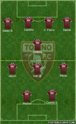 Torino Formation 2014