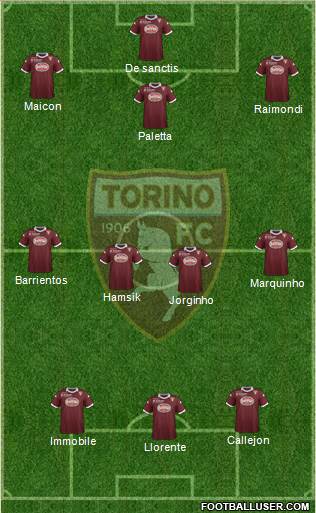 Torino Formation 2014