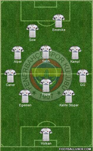 Fenerbahçe SK Formation 2014