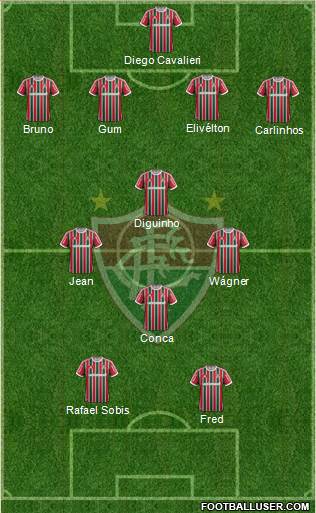 Fluminense FC Formation 2014