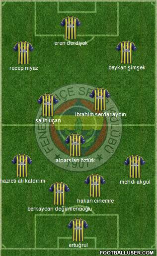 Fenerbahçe SK Formation 2014