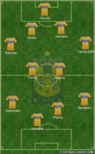 Club Universitario de Nuevo León Formation 2014