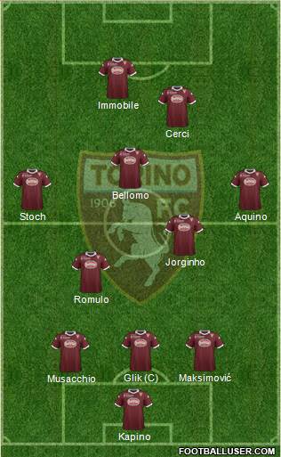 Torino Formation 2014