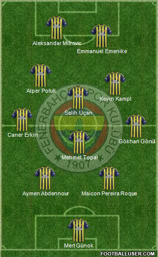 Fenerbahçe SK Formation 2014