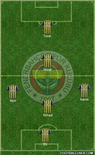 Fenerbahçe SK Formation 2014