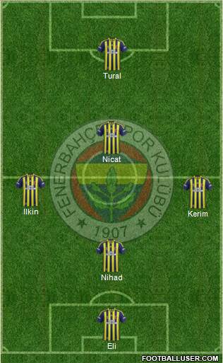 Fenerbahçe SK Formation 2014
