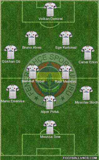 Fenerbahçe SK Formation 2014