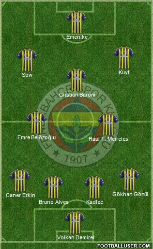 Fenerbahçe SK Formation 2014
