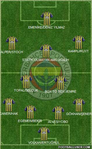 Fenerbahçe SK Formation 2014