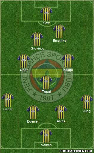Fenerbahçe SK Formation 2014